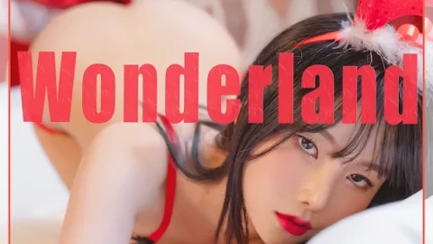 影视影视合集在线播放高清版